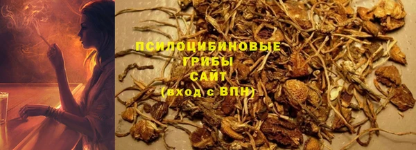 дмт Карпинск