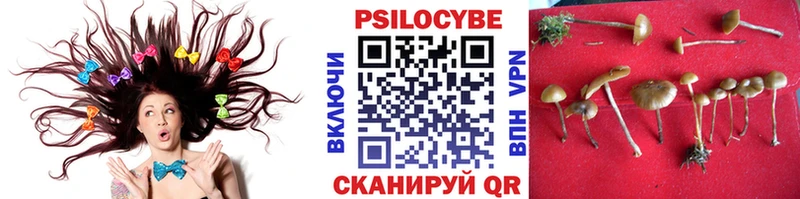 Купить  Билибино  Псилоцибиновые грибы мицелий 